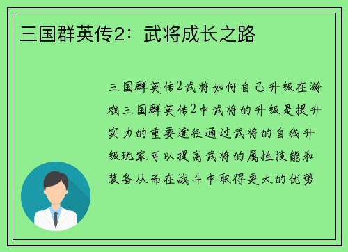 三国群英传2：武将成长之路